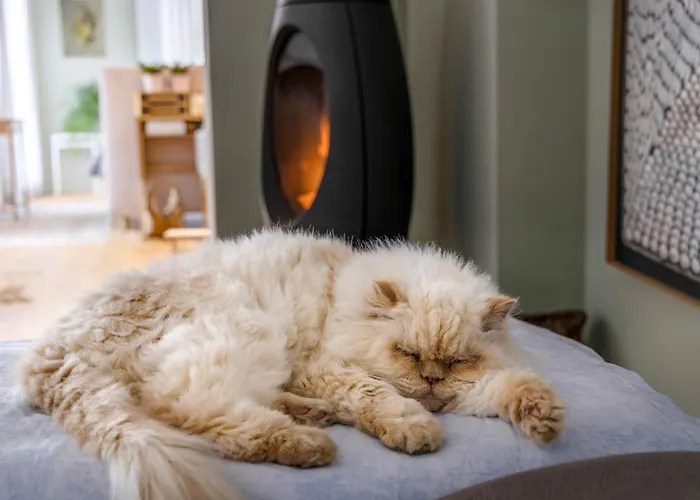 Casa Dante - Boutiquehouse Tomr リゾート